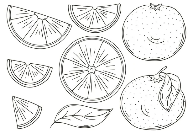 Grapefruit Červená Pomeranč Sada Vektorových Ilustrací Ručně Kresleném Stylu Zbarvení — Stockový vektor