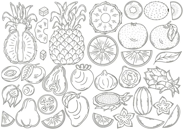 Kawaii Fruits Clipart Kawaii Fruit Clip Art Cute Fruits Clipart Fruits  Digital Stamps Cute Fruits Icons Kawaii Fruit Coloring Pages 