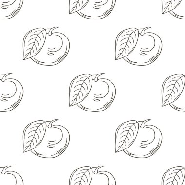 Longan. Tropikal meyveli tek renkli desen. Elde çizim stili. Kumaş için kullanılabilir.