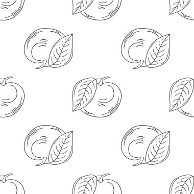 Tropikal meyveli tek renkli desen. Elde çizim stili. Longan.