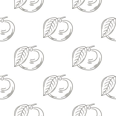 Longan. Tropikal meyveli tek renkli desen. Elle çizim biçimi