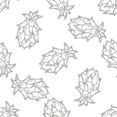 Tropikal meyveli tek renkli desen. Elde çizim stili. Ejderha meyvesi