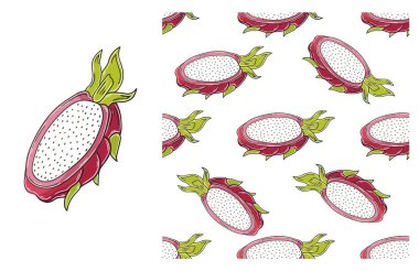Ejderha meyvesi, pitaya. Tropikal meyveli kusursuz desen. El çizimi tarzında ayarlanmış. Kumaş, ambalaj vs. için kullanılabilir