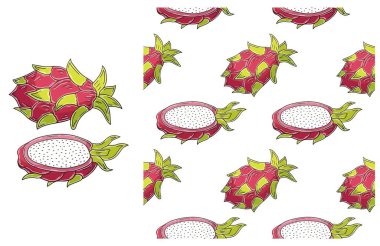 Tropikal meyveli kusursuz desen. Ejderha meyvesi, pitaya. El çizimi biçiminde ayarla