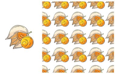 Tropikal meyveli kusursuz desen. Physalis. El çizimi tarzında ayarlanmış. Kumaş, ambalaj, ambalaj vs. için kullanılabilir