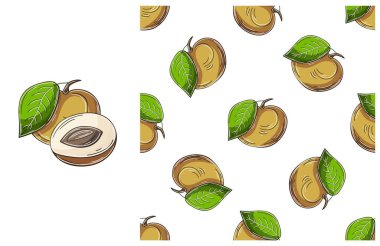 Tropikal meyveli kusursuz desen. El çizimi tarzında ayarlanmış. Longan. Kumaş ve benzeri şeyler için kullanılabilir.