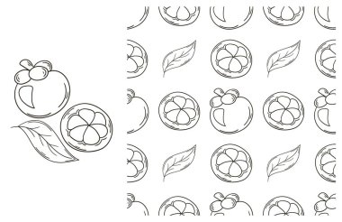 El çizimi tarzında ayarlanmış. Mangosteen. Tropik meyvelerle renklendirme deseni. Kumaş, ambalaj, ambalaj vs. için kullanılabilir