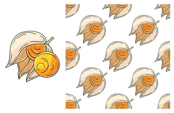 Physalis. Tropikal meyveli kusursuz desen. El çizimi tarzında ayarlanmış. Kumaş için kullanılabilir.