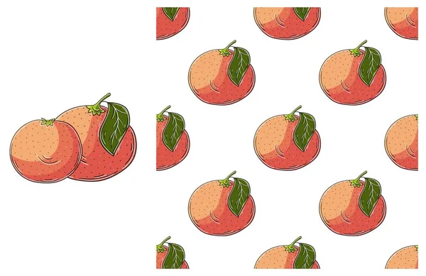 Seamless Pattern Tropical Fruits Grapefruit Red Orange Set Hand Draw — Stock Vector