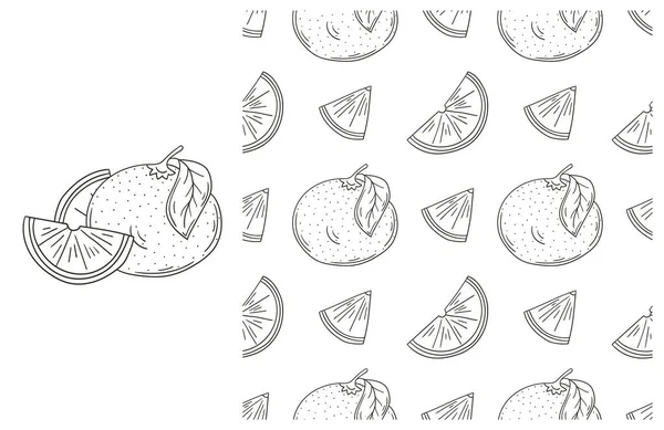 Patrón Para Colorear Con Frutas Tropicales Establecer Mano Estilo Dibujo — Vector de stock