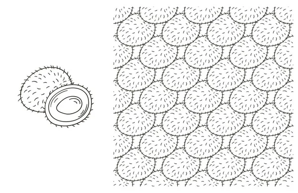 Rambutan Modèle Coloration Avec Des Fruits Tropicaux Placé Dans Style — Image vectorielle