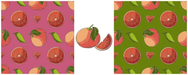 Grapefruit Red Orange Seamless Pattern Tropical Fruits Color Set Hand — Stock Vector