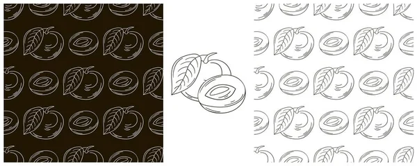 Longan Seamless Pattern Tropical Fruits Set Hand Draw Style Monochrome — Stock Vector
