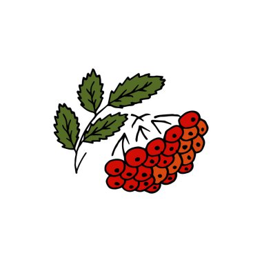 Çilek. Tekstil şablonu. Dekoratif halk unsuru, etnik dekor. Folklor logosu elde çizim stili. Halk çileği