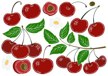 Kiraz. El çizimi tarzında renk çizimleri. Beyaz taslak. Kartpostallar, el ilanları, afişler için tasarım. Simgeler, işaretler, çıkartmalar, logolar