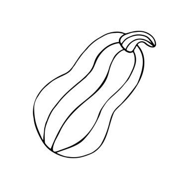 Dekor unsuru, hatıra defteri. Balkabağım. Cadılar Bayramı çizim stili. Tasarımının ögesi, şirin simge, sembol