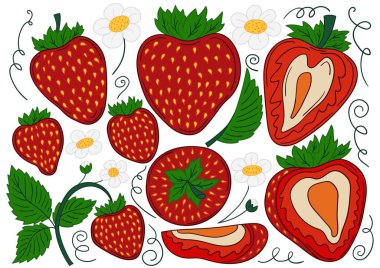 Çilekli. El çizimi tarzında renk çizimleri. Kartpostallar, el ilanları, afişler, oda dekorasyonu için tasarım. Simgeler, işaretler, çıkartmalar, logolar