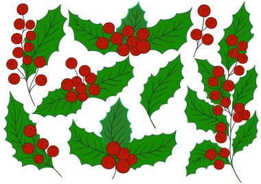Holly mi? El çizimi tarzında renk çizimleri. Kartpostallar, el ilanları, afişler, oda dekorasyonu için tasarım. Simgeler, işaretler, çıkartmalar, logolar