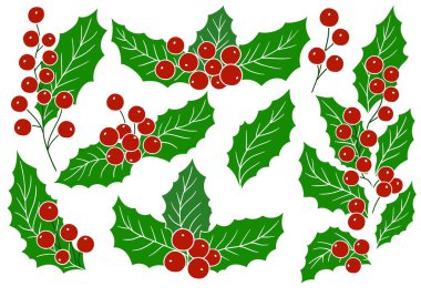 Holly mi? El çizimi tarzında renk çizimleri. Beyaz taslak. Kartpostallar, el ilanları, afişler için tasarım. Simgeler, işaretler, çıkartmalar, logolar