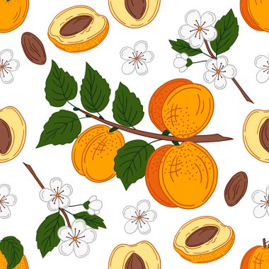 Elinde kusursuz meyve deseni var. Kayısı. Mönü ya da mutfak için desen. Tasarım, tekstil, kumaş için yazdır