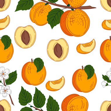 Elinde kusursuz meyve deseni var. Kayısı. Mönü ya da mutfak için desen. Tasarım, tekstil, kumaş, duvar kağıdı için yazdır