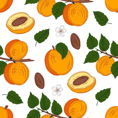 Elinde kusursuz meyve deseni var. Kayısı, şeftali. Mönü ya da mutfak için desen. Tasarım, tekstil, kumaş, duvar kağıdı, ambalaj kağıdı, dekorasyon vesaire için yazdır