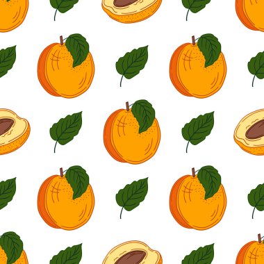 Kayısı. Elinde kusursuz meyve deseni var. Mönü ya da mutfak için desen. Yazdır