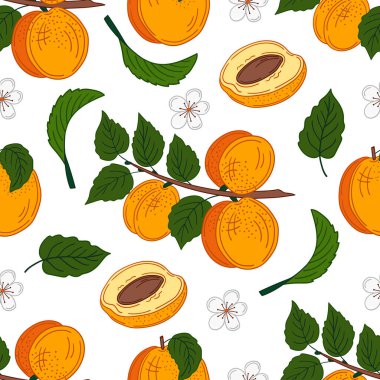 Kayısı. Elinde kusursuz meyve deseni var. Mönü ya da mutfak için desen. Tasarım, tekstil, kumaş, duvar kağıdı, ambalaj kağıdı, dekorasyon