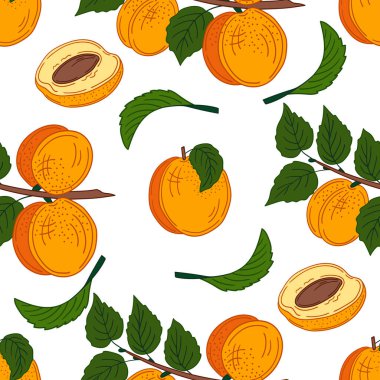 Kayısı. Elinde kusursuz meyve deseni var. Mönü ya da mutfak için desen. Tasarım, tekstil, kumaş, duvar kağıdı, ambalaj kağıdı, dekorasyon vesaire için yazdır