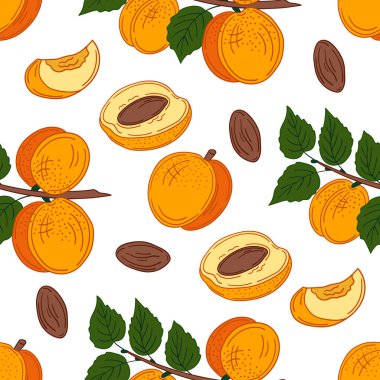 Kayısı, şeftali. Elinde kusursuz meyve deseni var. Mönü ya da mutfak için desen. Tasarım, tekstil, kumaş, duvar kağıdı, ambalaj kağıdı, dekorasyon vesaire için yazdır