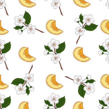 Kayısı çiçekleri. Elinde kusursuz meyve deseni var. Mönü ya da mutfak deseni