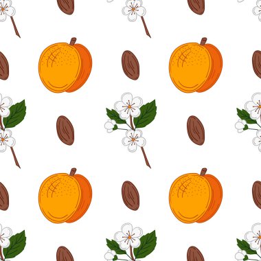 Kayısı çiçekleri. Elinde kusursuz meyve deseni var. Mönü ya da mutfak için desen. Tasarım ve tekstil için yazdır