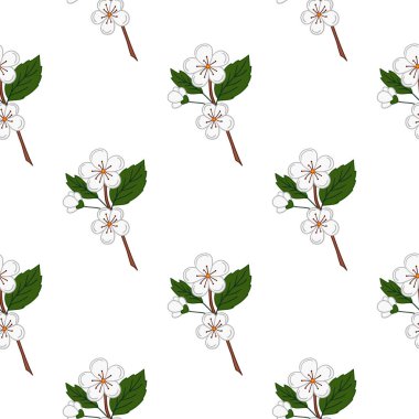 Kayısı çiçekleri. Elinde kusursuz meyve deseni var. Mönü ya da mutfak için desen. Tasarım, tekstil, kumaş, duvar kağıdı için yazdır