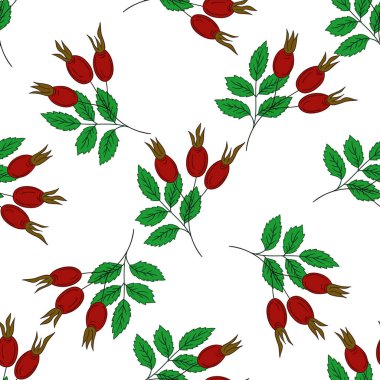 Kusursuz çiçek deseni elde çizim stili. Rosehip 'te. Tekstil ya da mutfak için desen. Tasarım ve tekstil için yazdır