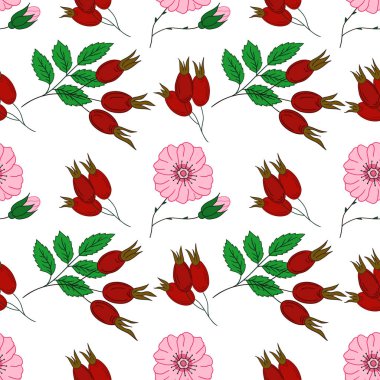 Kusursuz çiçek deseni elde çizim stili. Rosehip 'te. Tekstil ya da mutfak için desen. Tasarım, tekstil, kumaş, duvar kağıdı için yazdır