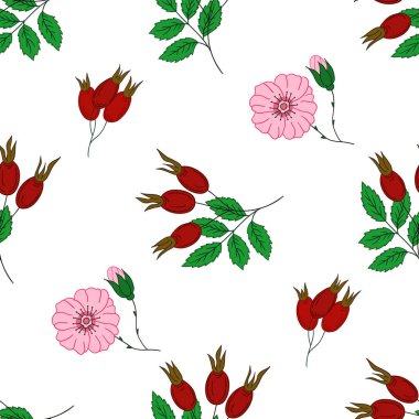 Kusursuz çiçek deseni elde çizim stili. Rosehip 'te. Tekstil ya da mutfak için desen. Tasarım, tekstil, kumaş, duvar kağıdı, ambalaj için yazdır