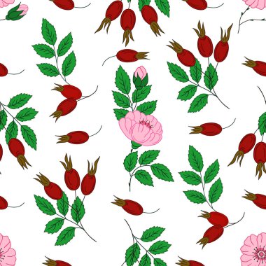 Kusursuz çiçek deseni elde çizim stili. Rosehip 'te. Tekstil ya da mutfak için desen. Tasarım, tekstil, kumaş, duvar kağıdı, ambalaj kağıdı, dekorasyon vesaire için yazdır