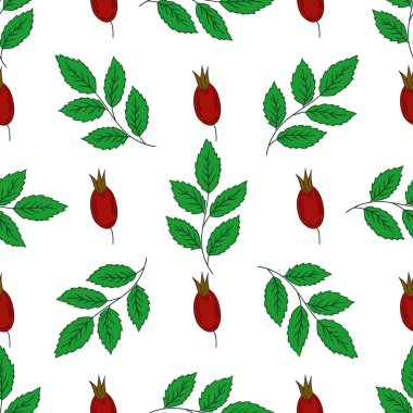 Rosehip 'te. Kusursuz çiçek deseni. Tekstil ya da mutfak tarzı. Tasarım için yazdır