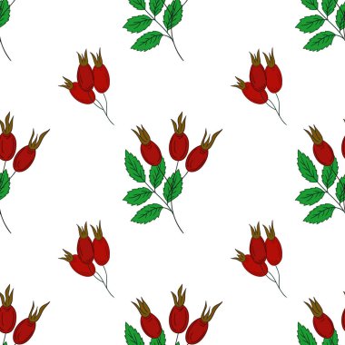 Rosehip 'te. Kusursuz çiçek deseni elde çizim stili. Tekstil ya da mutfak için desen. Tasarım, tekstil, kumaş, duvar kağıdı, ambalaj için yazdır