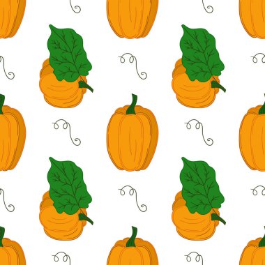 Balkabağım. Tekstil ya da mutfak için desen. Elinde kusursuz sebze deseni var. Tasarım, tekstil, kumaş, duvar kağıdı için yazdır