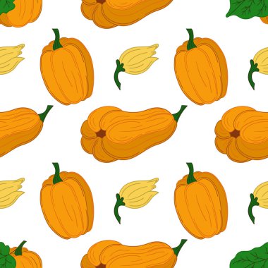 Balkabağım. Tekstil ya da mutfak için desen. Elinde kusursuz sebze deseni var. Tasarım, tekstil, kumaş, duvar kağıdı, ambalaj kağıdı