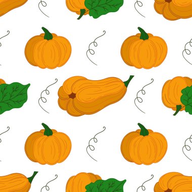 Balkabağım. Tekstil ya da mutfak için desen. Elinde kusursuz sebze deseni var. Tasarım, tekstil, kumaş, duvar kağıdı, ambalaj kağıdı, dekorasyon vesaire için yazdır