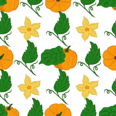 Tekstil ya da mutfak için desen. Balkabağım. Elinde kusursuz sebze deseni var. Tasarım, tekstil, kumaş, duvar kağıdı, ambalaj kağıdı