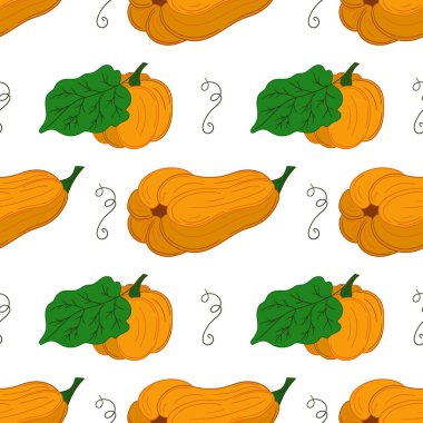 Tekstil ya da mutfak tarzı. Kusursuz sebze deseni. Balkabağım. Tasarım, tekstil, kumaş, duvar kağıdı, ambalaj için yazdır