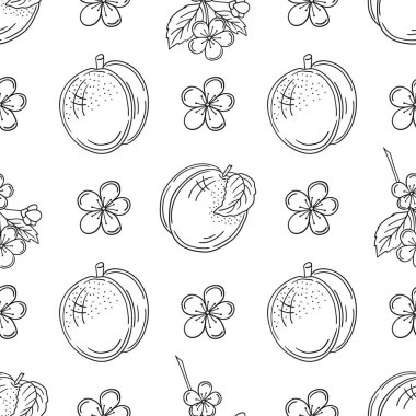 Tek renkli meyve deseni elde çizim tarzında. Mönü ya da mutfak için desen. Kayısı