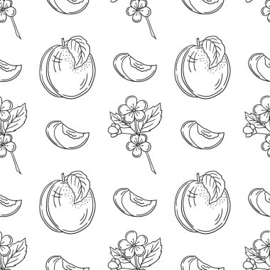 Tek renkli meyve deseni elde çizim tarzında. Mönü ya da mutfak için desen. Kayısı. Tasarım, tekstil, kumaş için yazdır