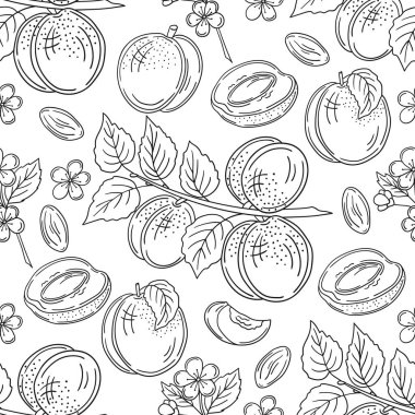 Tek renkli meyve deseni elde çizim tarzında. Mönü ya da mutfak için desen. Kayısı. Tasarım, tekstil, kumaş, duvar kağıdı için yazdır