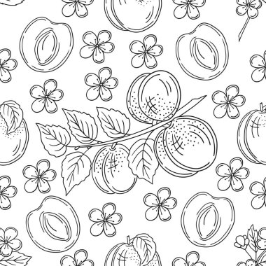 Tek renkli meyve deseni elde çizim tarzında. Kayısı. Mönü ya da mutfak için desen. Tasarım için yazdır