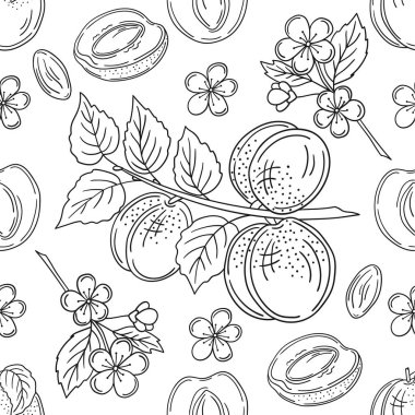 Tek renkli meyve deseni elde çizim tarzında. Kayısı. Mönü ya da mutfak için desen. Tasarım, tekstil, kumaş için yazdır