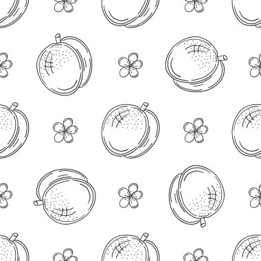 Tek renkli meyve deseni elde çizim tarzında. Kayısı, şeftali. Mönü ya da mutfak için desen. Tasarım, tekstil, kumaş, duvar kağıdı, ambalaj için yazdır
